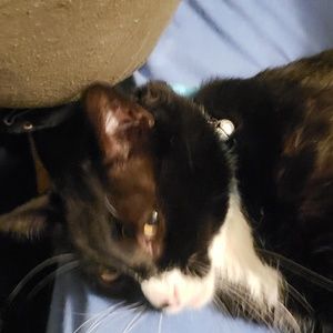 Meet your Posher, Robert